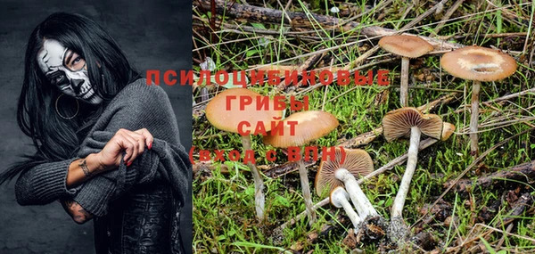 дурь Алексин