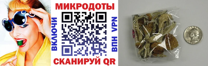 Псилоцибиновые грибы GOLDEN TEACHER  Купить где  Тюкалинск 